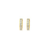 Carol Brodie Artemis Classic Mini Hoop Earring